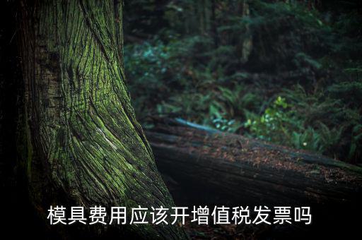 模具設(shè)計開發(fā)費開什么發(fā)票，模具開發(fā)及制造費一般開什么發(fā)票明細(xì)