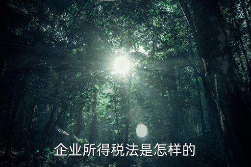 什么是企業(yè)所得稅法，企業(yè)所得稅法是怎樣的