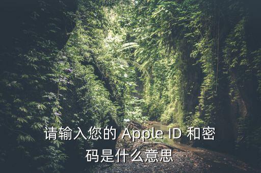 查詢(xún)個(gè)稅 密碼是輸入什么，請(qǐng)輸入您的 Apple ID 和密碼是什么意思