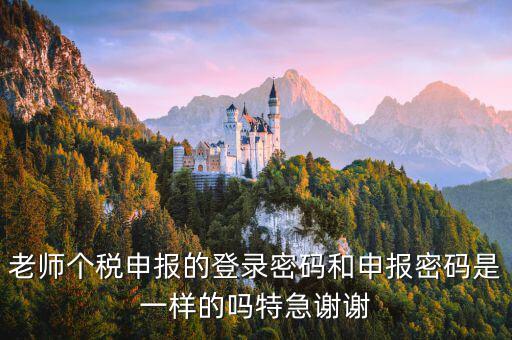安徽個(gè)稅申報(bào)密碼是什么，老師個(gè)稅申報(bào)的登錄密碼和申報(bào)密碼是一樣的嗎特急謝謝