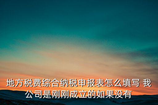 地稅不開票需填什么表，地方稅費綜合納稅申報表怎么填寫 我公司是剛剛成立的如果沒有