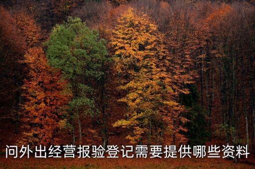 外管證報(bào)驗(yàn)都需要什么資料，辦外管證需要哪些資料