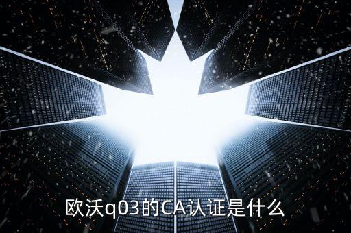 ca認(rèn)證密碼是什么，歐沃q03的CA認(rèn)證是什么