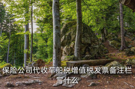 保險公司代開車船稅備注注什么，請問一下發(fā)票備注欄能夠?qū)懯裁?/></a></span><span id=