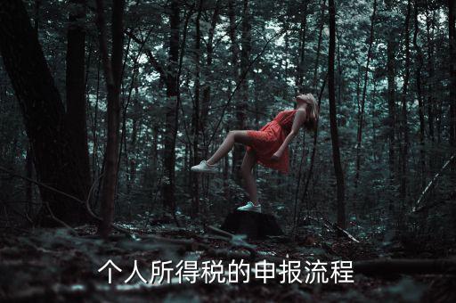 個人所得稅的申報(bào)流程