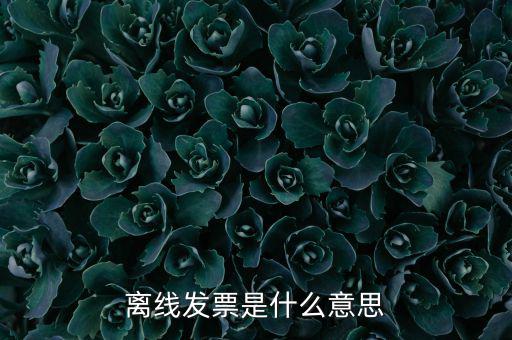 離線開票什么意思，離線發(fā)票是什么意思