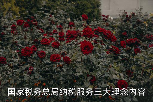 國家稅務總局納稅服務三大理念內容