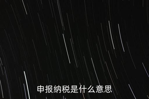 通用申報(bào)稅是什么，非稅收入通用申報(bào)表是什么稅
