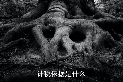 企業(yè)所得稅的計稅依據(jù)是什么，計稅依據(jù)是什么