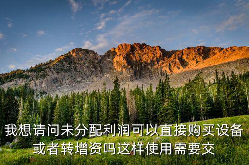未分配利潤(rùn)交什么稅，我想請(qǐng)問未分配利潤(rùn)可以直接購買設(shè)備或者轉(zhuǎn)增資嗎這樣使用需要交