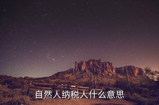 什么是自然人辦稅，自然人納稅人什么意思