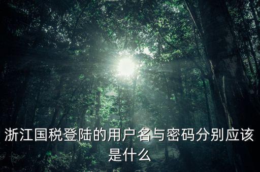 浙江國稅密碼是什么意思，浙江地稅開票軟件中數(shù)據(jù)庫密碼是多少
