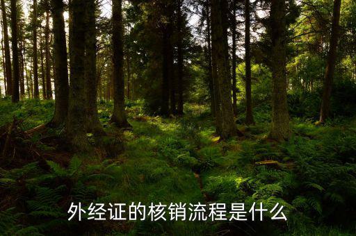 核銷的外經(jīng)證是什么樣，外經(jīng)證核銷是什么意思