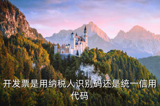 發(fā)票上的信用代碼是什么，現(xiàn)在開發(fā)票要的社會(huì)信用代碼是誰的代碼