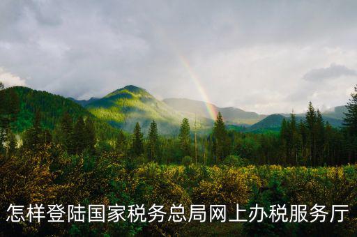 稅務(wù)局登錄什么瀏覽器可以，怎樣登陸國家稅務(wù)總局網(wǎng)上辦稅服務(wù)廳