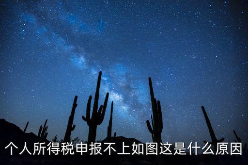 個稅申報不成功什么原因，個人所得稅申報不上如圖這是什么原因