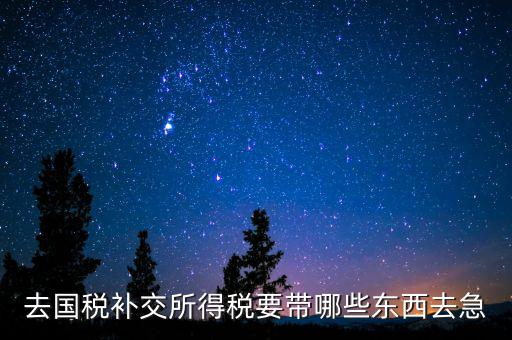去國稅補繳增值稅要帶什么，增值稅零申報逾期申報了48天 到國稅補申報需要準備什么資料 帶什么