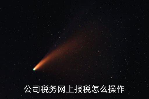 企業(yè)報稅登什么網(wǎng)站，企業(yè)稅務(wù)申報去哪個網(wǎng)站
