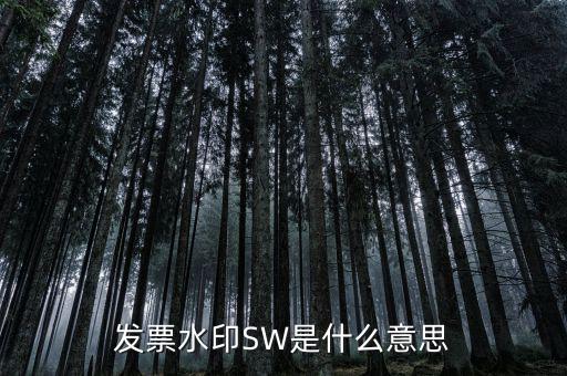 什么是發(fā)票水印，網購怎么辨別發(fā)票真徦