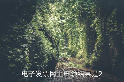電子發(fā)票網上申領結果是2