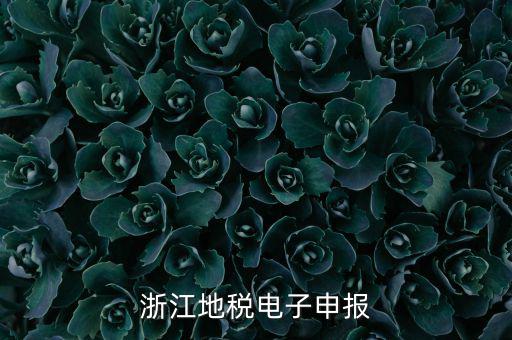 浙江地稅申報(bào)的是什么，浙江地稅怎么申報(bào)
