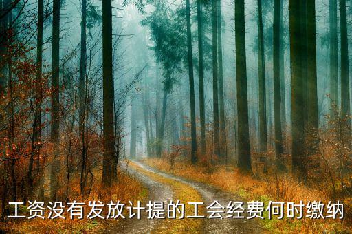 工會(huì)經(jīng)費(fèi)什么時(shí)候開始繳納，印花稅工會(huì)經(jīng)費(fèi)一般什么時(shí)候繳納