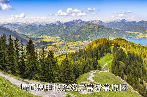 什么情況下會提醒報稅異常，獲取單位財行稅申報待辦異常