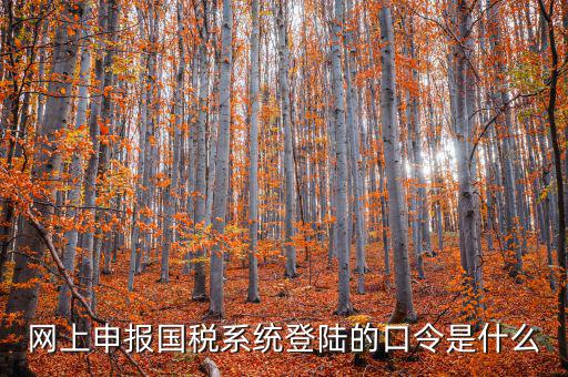 國稅網(wǎng)報口令是什么意思，網(wǎng)上申報國稅系統(tǒng)登陸的口令是什么