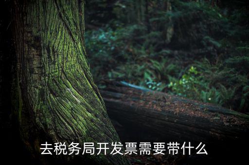 紹興市國稅購增值稅發(fā)票需要帶什么，到稅務(wù)局開增值稅專用發(fā)票帶什么