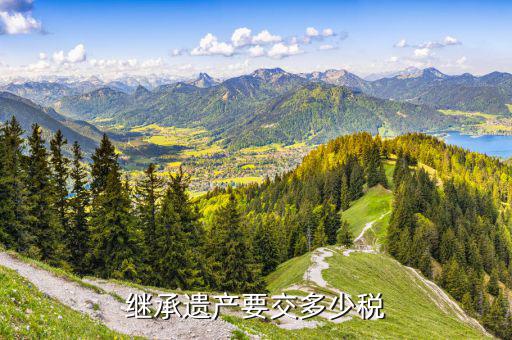 安陽(yáng)市繼承應(yīng)交什么稅，繼承房屋需要交什么稅