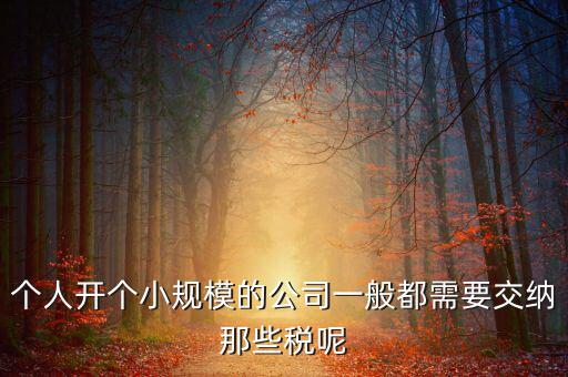 個(gè)人開辦水廠需要什么稅，自來(lái)水公司的水廠要交房產(chǎn)稅和土地使用稅嗎