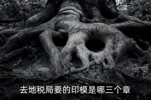 稅務(wù)局原始印模是什么東西，去地稅局要的印模是哪三個章