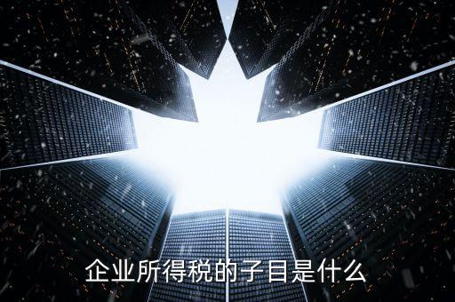 企業(yè)所得稅征收品目是什么，征收品目是什么