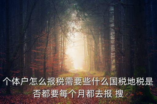 個體戶報稅都報什么，個體戶怎么報稅需要些什么國稅地稅是否都要每個月都去報 搜