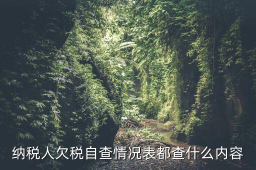 重點(diǎn)納稅人走訪情況表是什么，納稅人自查情況說(shuō)明表里各項(xiàng)都填什么