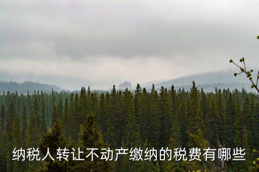 轉讓不動產(chǎn)交什么稅，納稅人轉讓不動產(chǎn)繳納的稅費有哪些