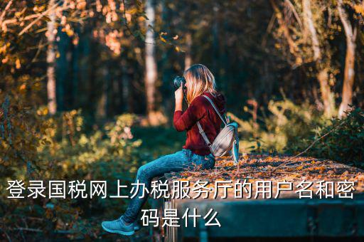 陜西電子稅務(wù)局登錄賬號(hào)是什么，登錄國(guó)稅網(wǎng)上辦稅服務(wù)廳的用戶名和密碼是什么