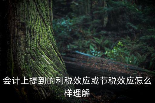 節(jié)稅效應(yīng)是節(jié)的什么稅，什么是節(jié)稅額