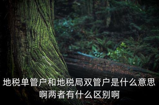 單管戶什么意思，地稅單管戶除了飲食行業(yè)外還有哪幾個行業(yè)