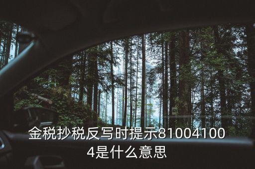 抄稅反寫是什么意思，金稅抄稅反寫時提示810041004是什么意思