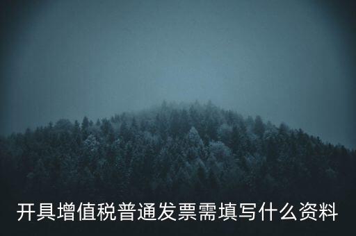 開增值稅普通票需要什么資料，購買增值稅普通發(fā)票需要什么資料