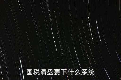 新疆國稅報稅什么系統(tǒng)，新疆國稅什么申報