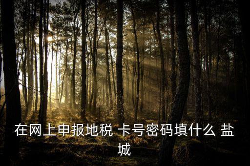 微信申報(bào)地稅的密碼是什么，地稅申報(bào)的用戶名和密碼是什么
