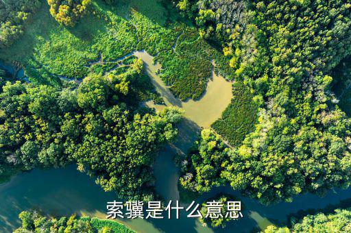 jsfapiaocn什么意思，索驥是什么意思