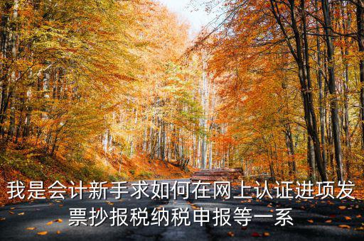 我是會計新手求如何在網上認證進項發(fā)票抄報稅納稅申報等一系