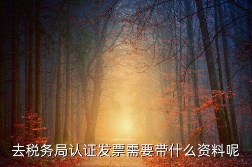 發(fā)票認證都需要帶什么，去開票大廳認證發(fā)票需要帶什么資料