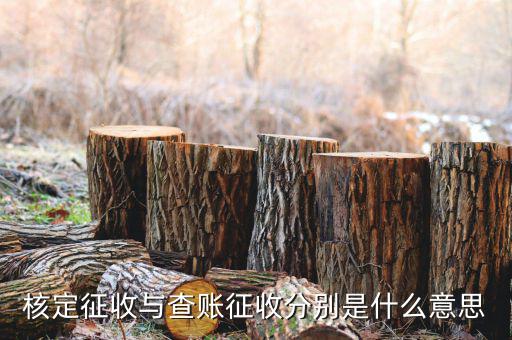 什么企業(yè)實(shí)行核定征收，企業(yè)所得稅可以核定征收嗎