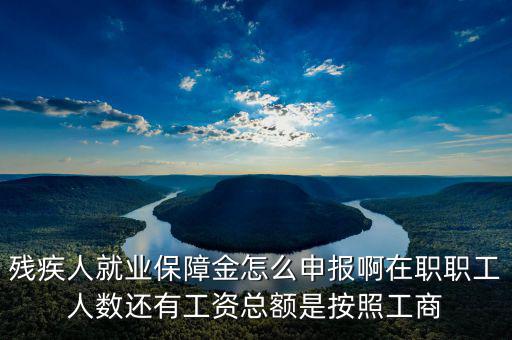 殘疾保證金什么申報(bào)，殘疾人就業(yè)保障金怎么申報(bào)啊在職職工人數(shù)還有工資總額是按照工商