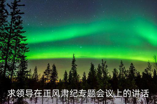 正風(fēng)肅紀(jì)講話什么意思，求領(lǐng)導(dǎo)在正風(fēng)肅紀(jì)專題會議上的講話