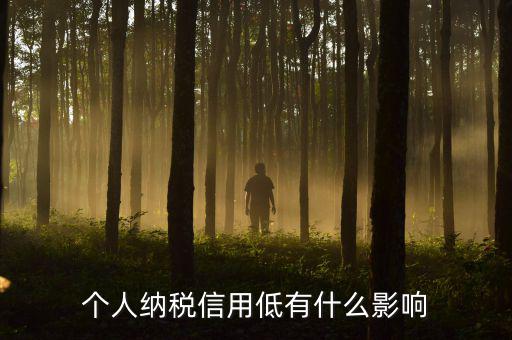 納稅信用記錄是什么，金稅三期納稅信用管理是什么意思